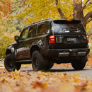 Prado 250 Flare & Mud Flap Kit