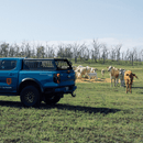MAYKA D - Max Tub Rack | Pre - Order - Mick Tighe 4x4 & Outdoor - MAYKA - MUNTR-021000 -  - MAYKA D - Max Tub Rack | Pre - Order
