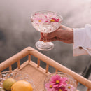 Primrose Margarita Glass – Set of 2 - Mick Tighe 4x4 & Outdoor - Wandering Folk - WFWMP -  - Primrose Margarita Glass – Set of 2