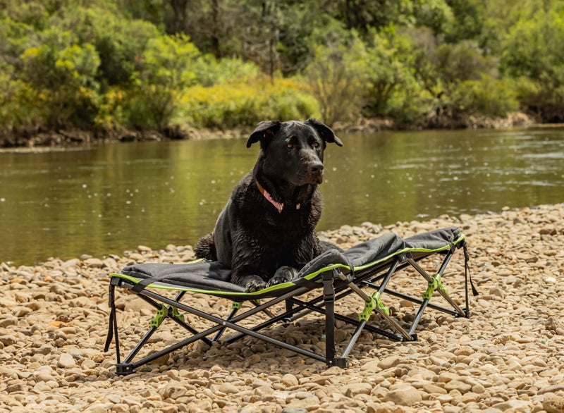 Quick Fold Dog Bed (w/ Padded Mat) - X-LARGE - Mick Tighe 4x4 & Outdoor-Ironman 4x4-IPET0034--Quick Fold Dog Bed (w/ Padded Mat) - X-LARGE